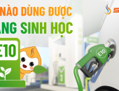 Xe nào dùng được xăng sinh học E10?