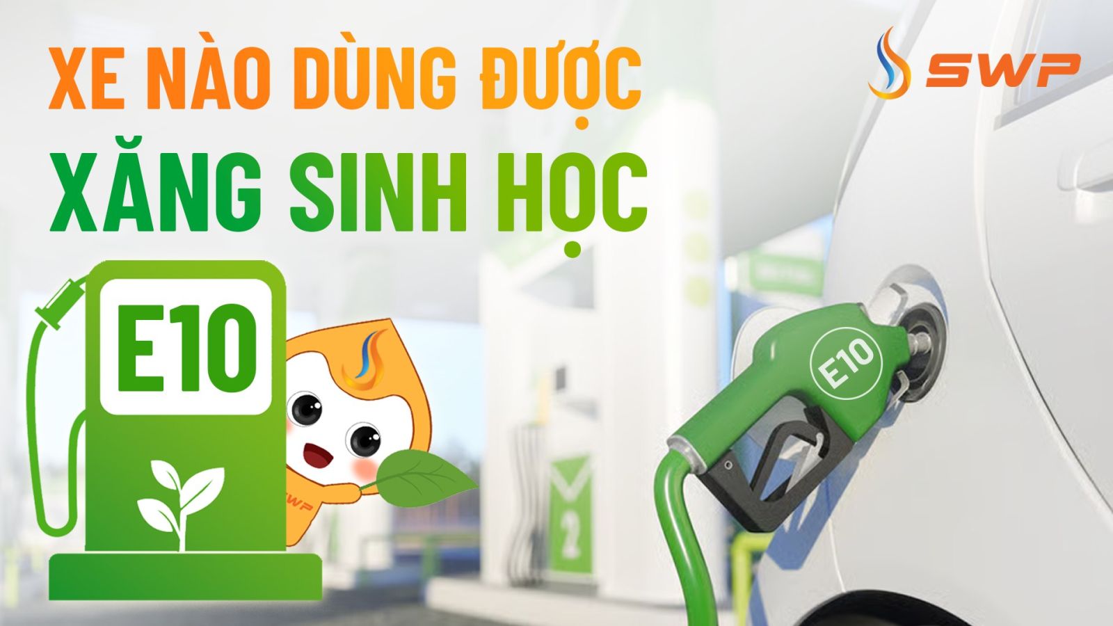 Hướng dẫn người dùng nhận biết loại phương tiện có thể sử dụng xăng sinh học E10 an toàn và hiệu quả.
